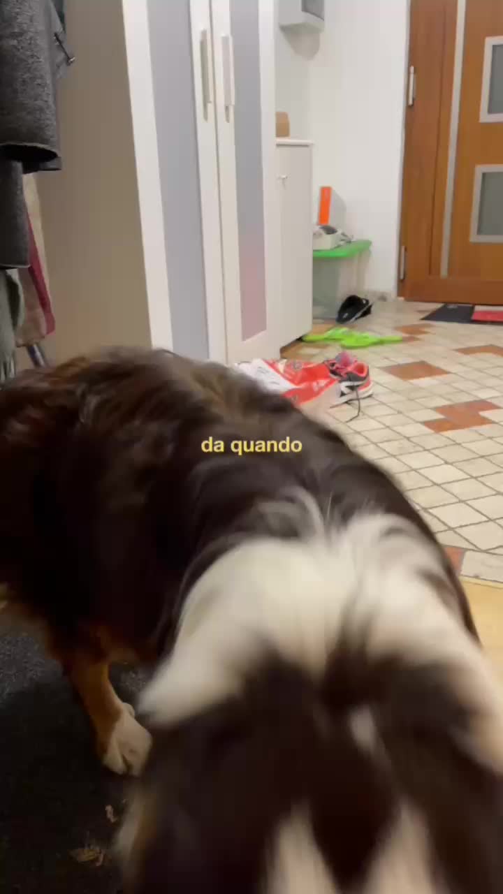 @✨᰻ᥲ᰻ᥲ✨📚🐾🎧