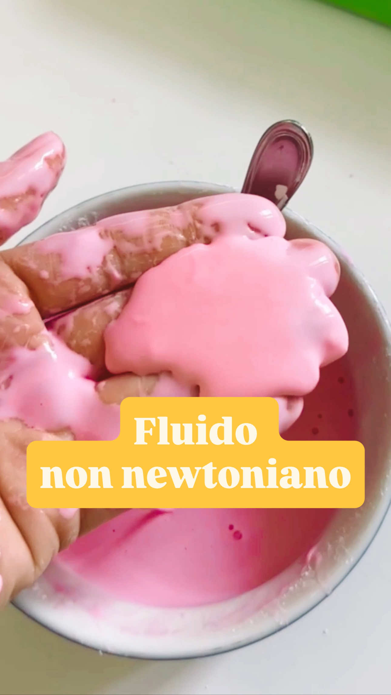 @organizzapiccoli