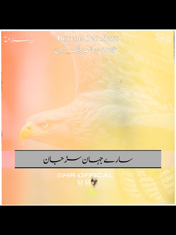 @SHR - OFFICIAL
