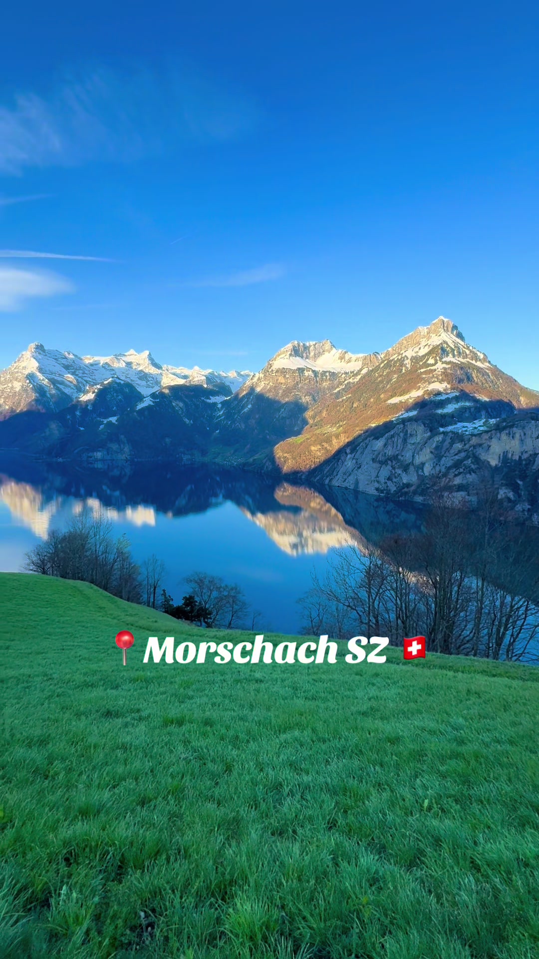 @swiss_alps