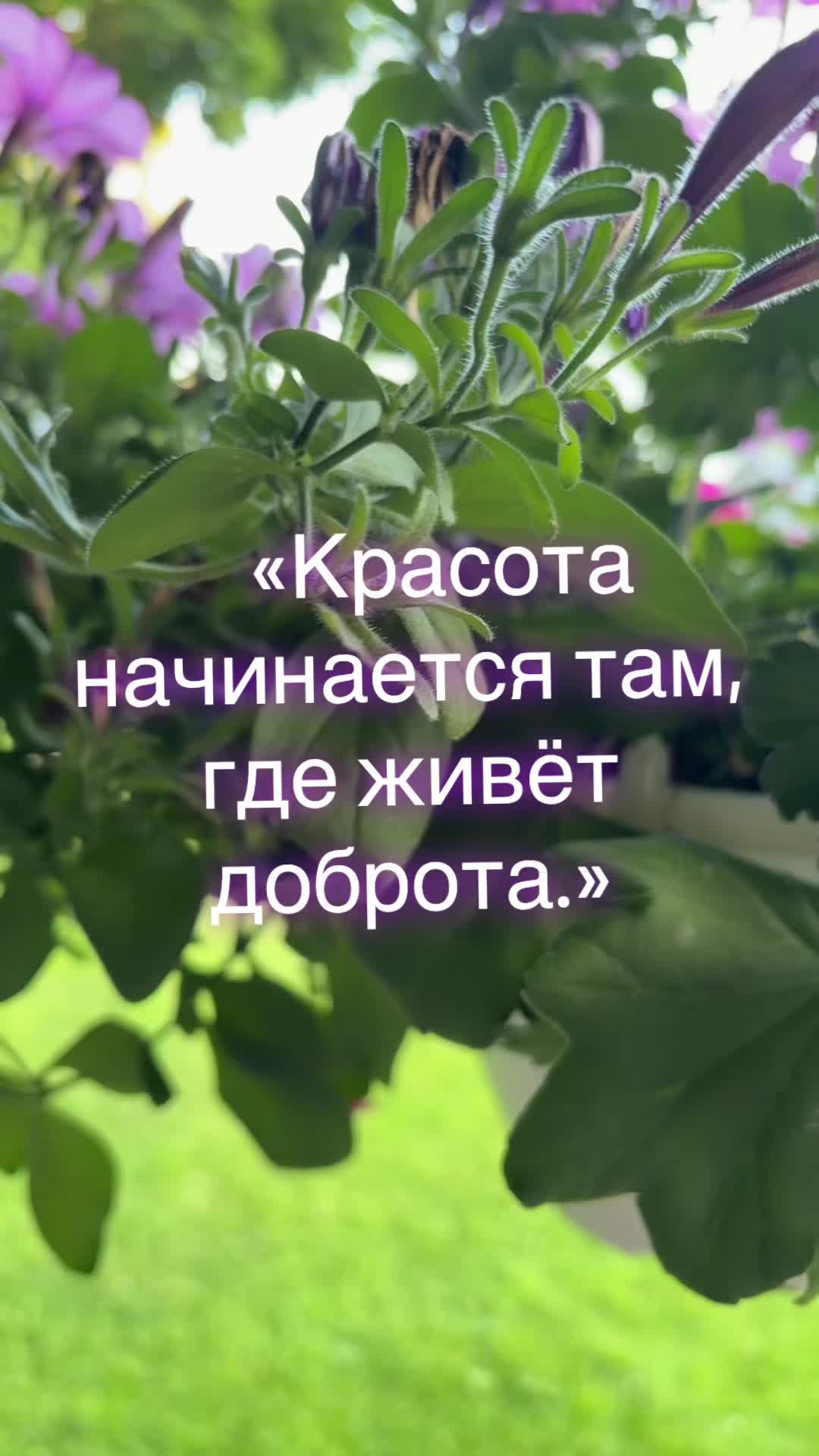 @Laura4444444