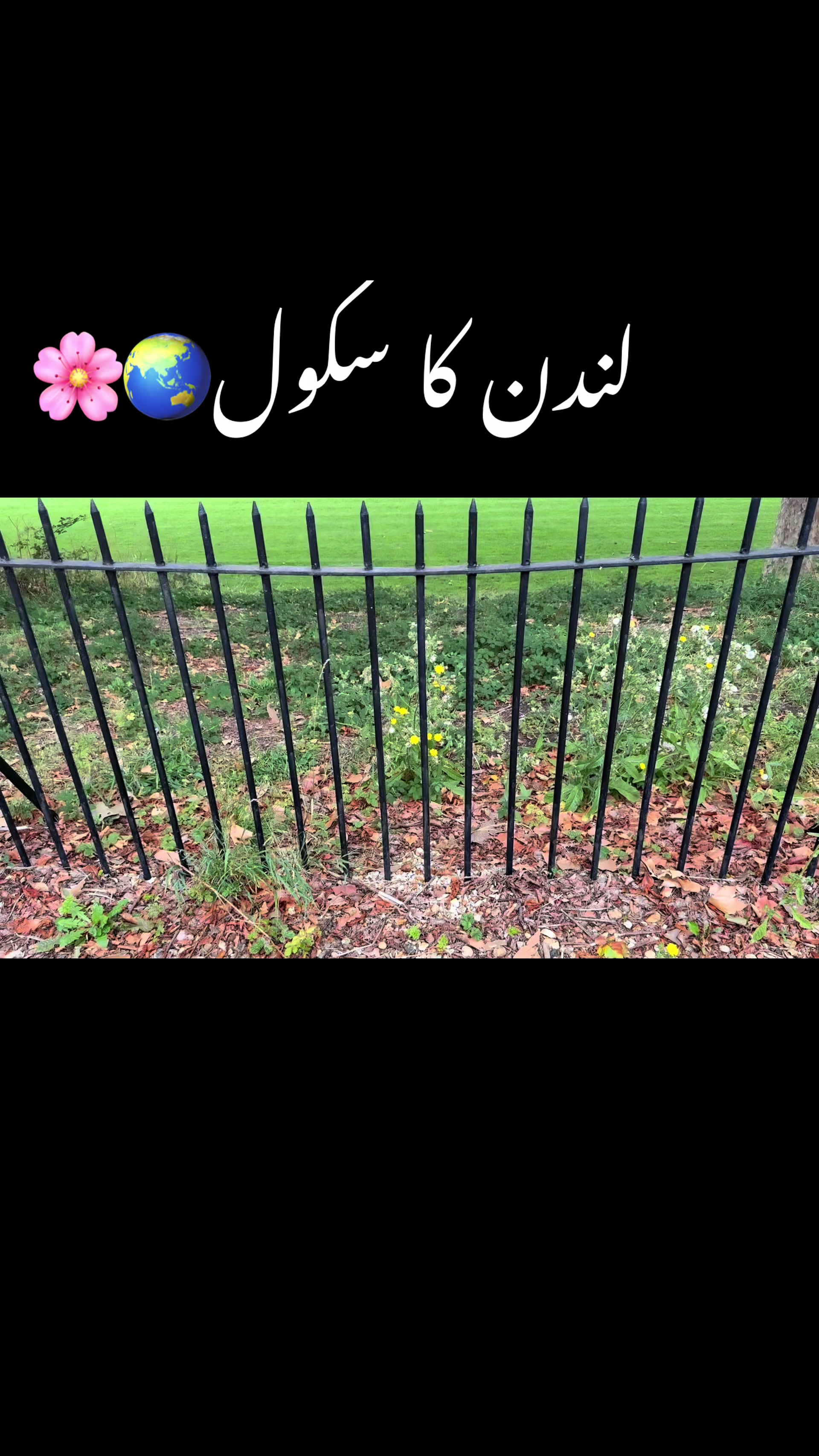 @irfansandhujutt8