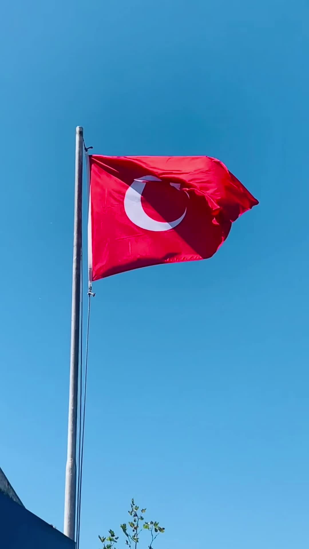 @Fb1907