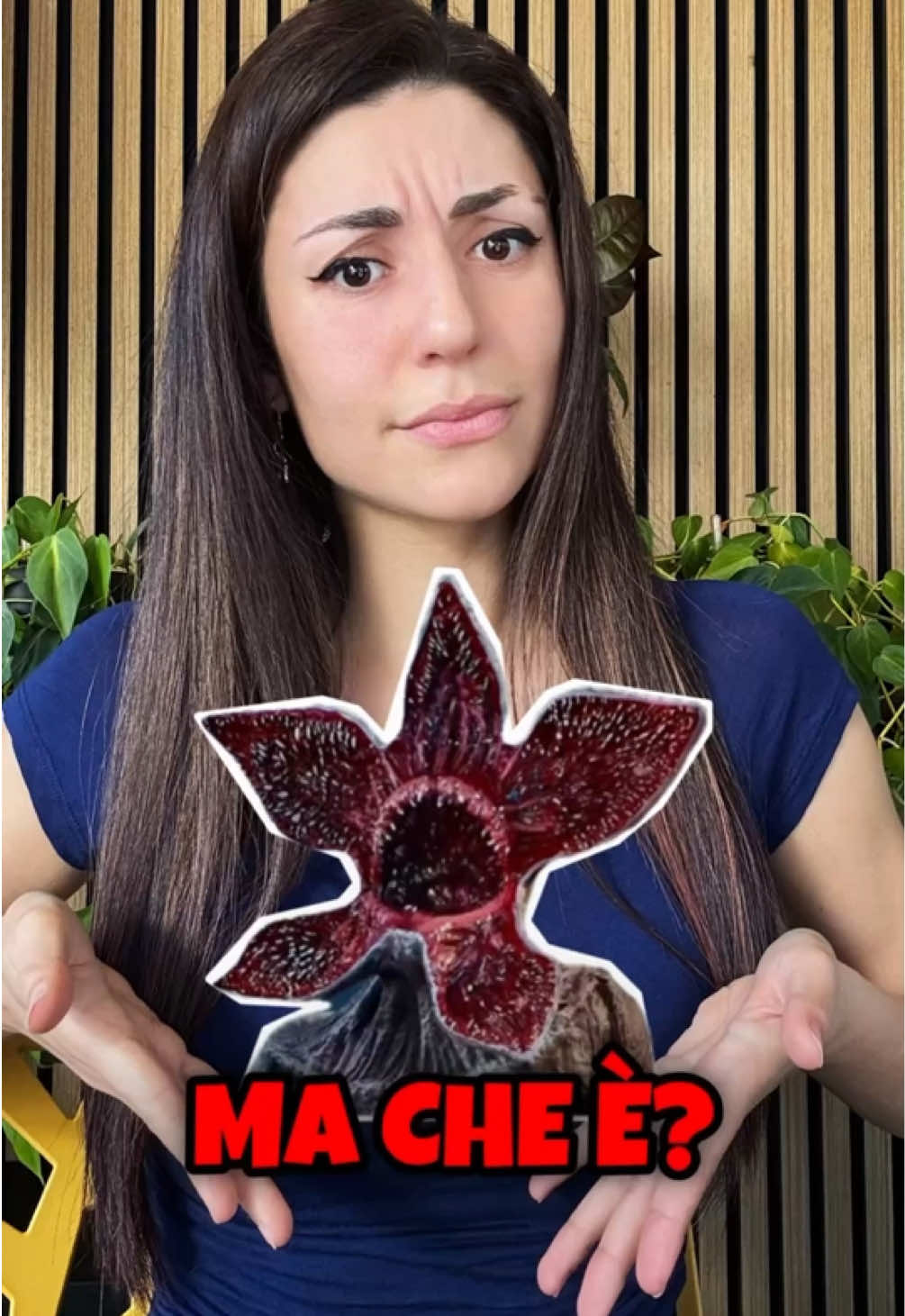 @Ambra Pazzani