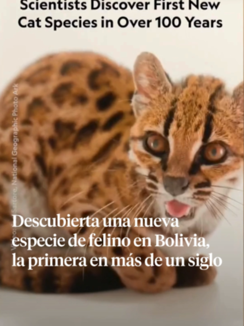 @La Vanguardia 🗞