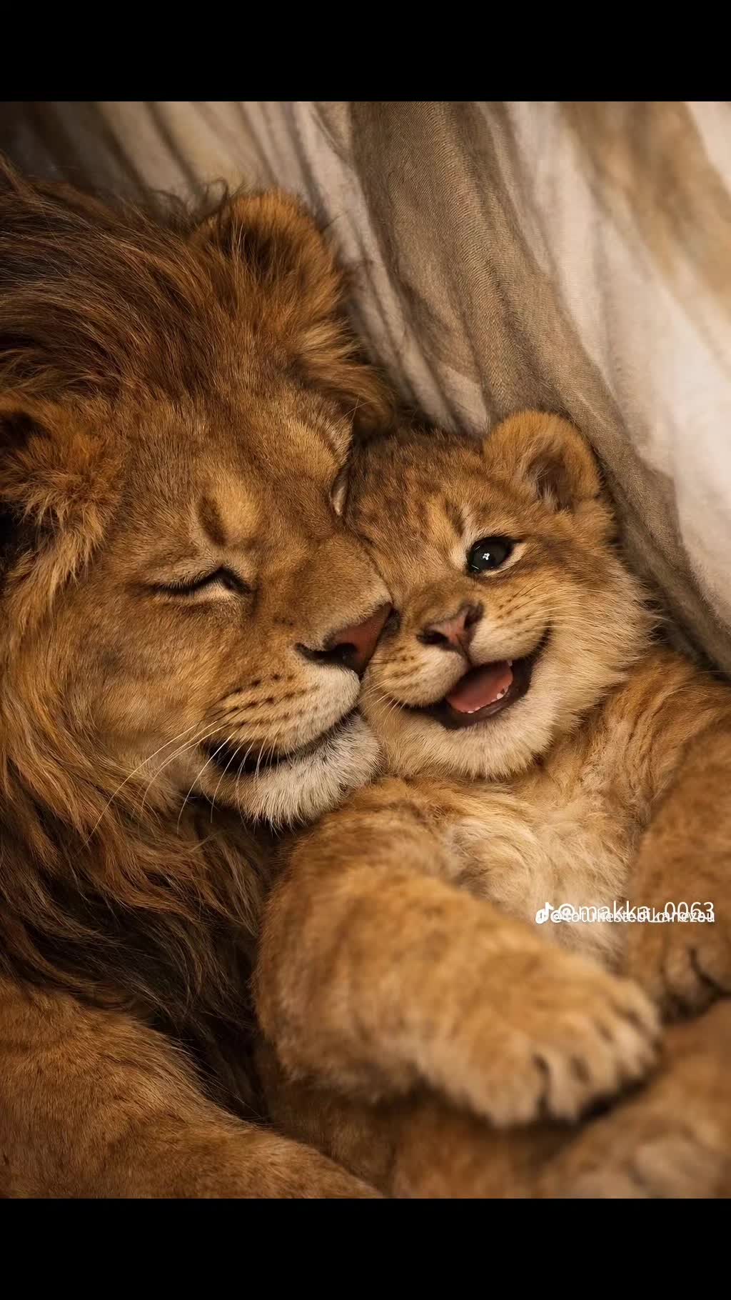 @K❤️A❤️R❤️M❤️E❤️N❤️