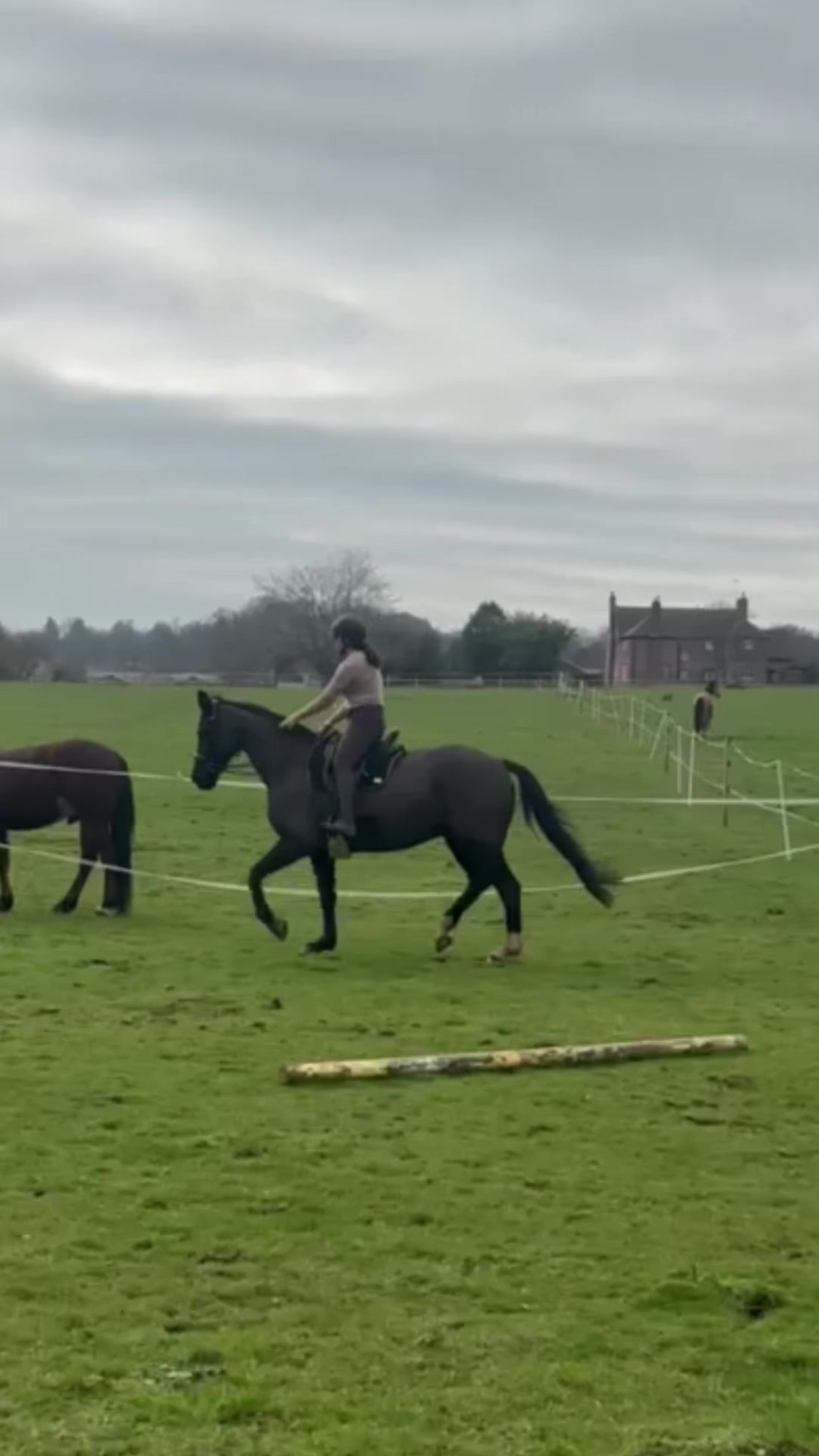 @Horses_with_Narni