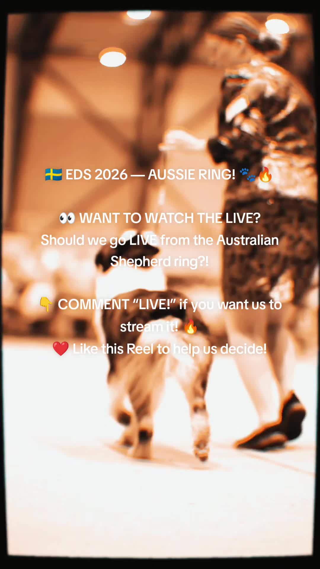 @Aussie_Photograph