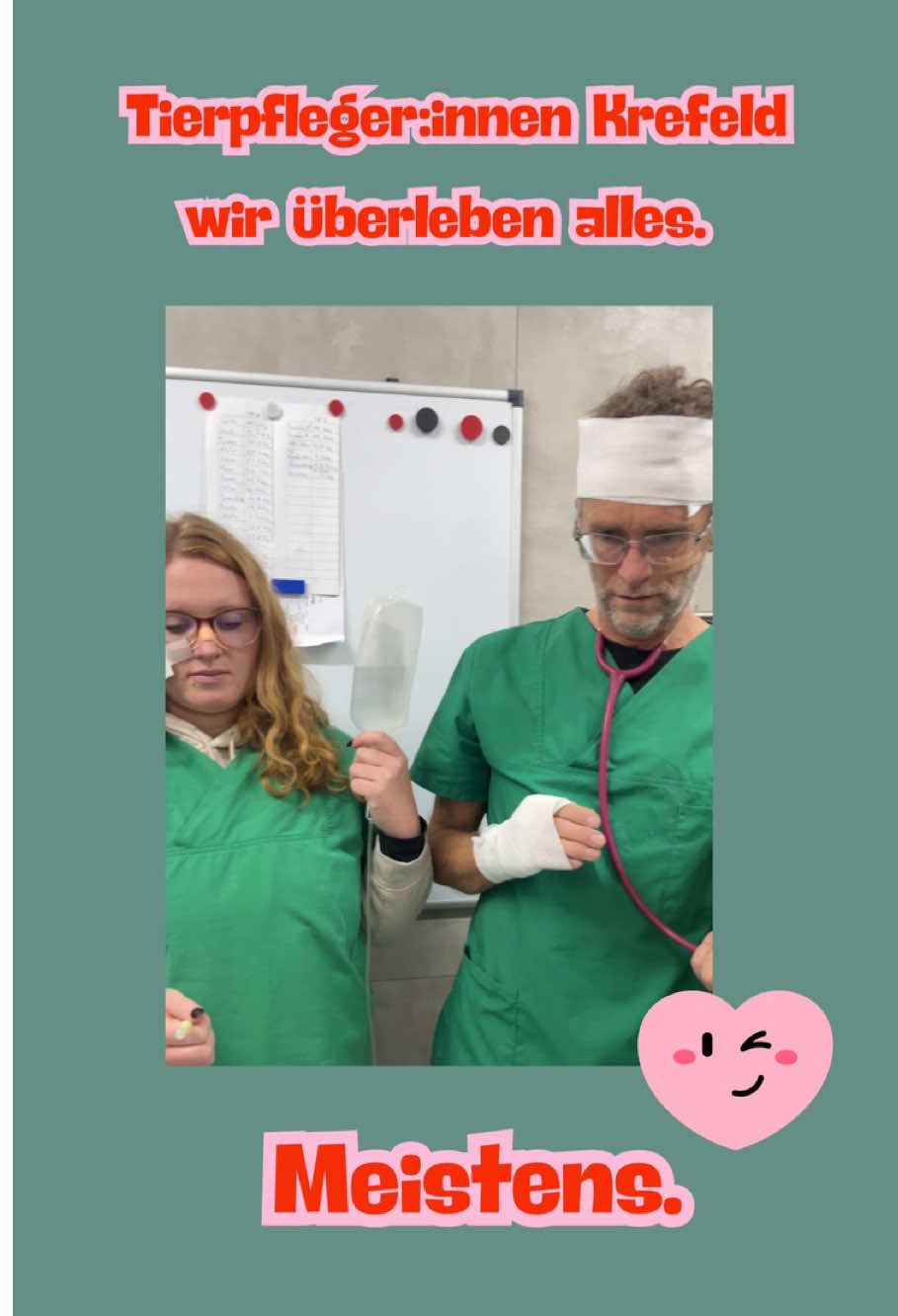 @TierheimKR
