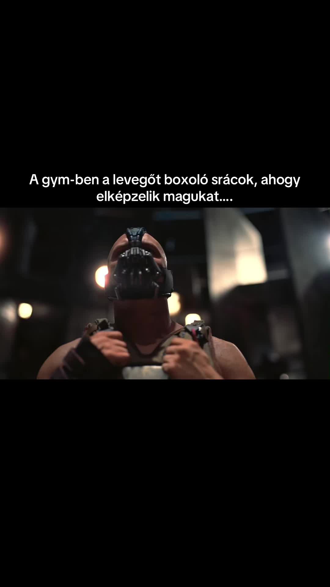 @buczivok