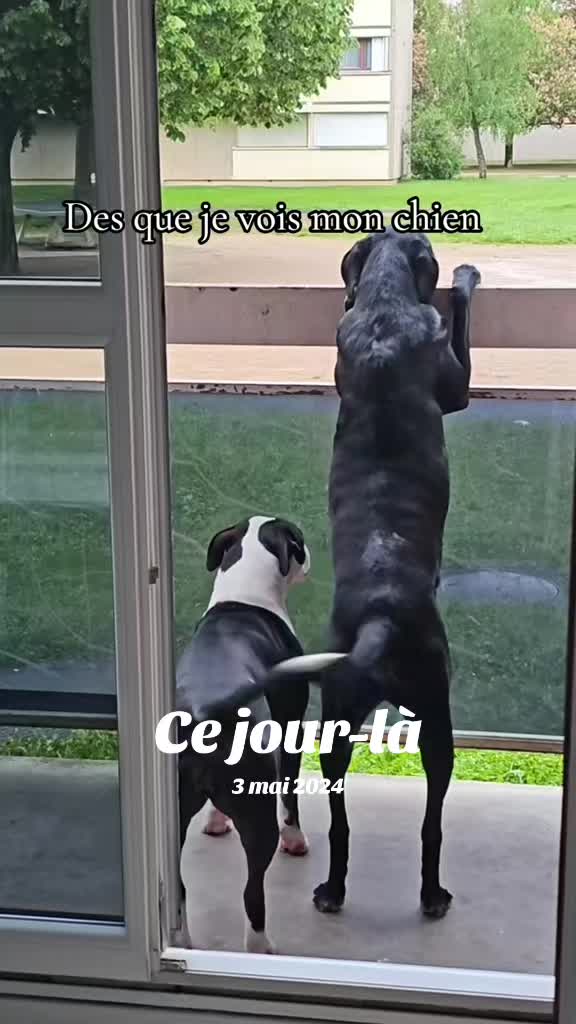 @Neïko Neïko