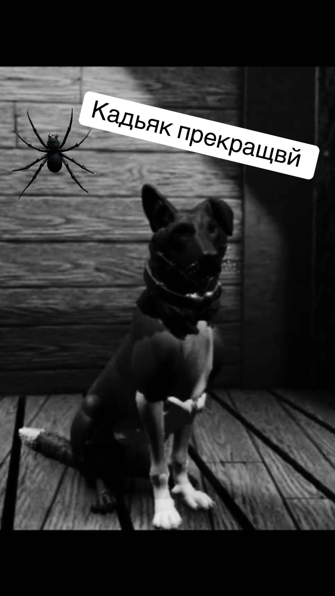 @КОДЬЯК ЖЕВОДАНОСТЬ