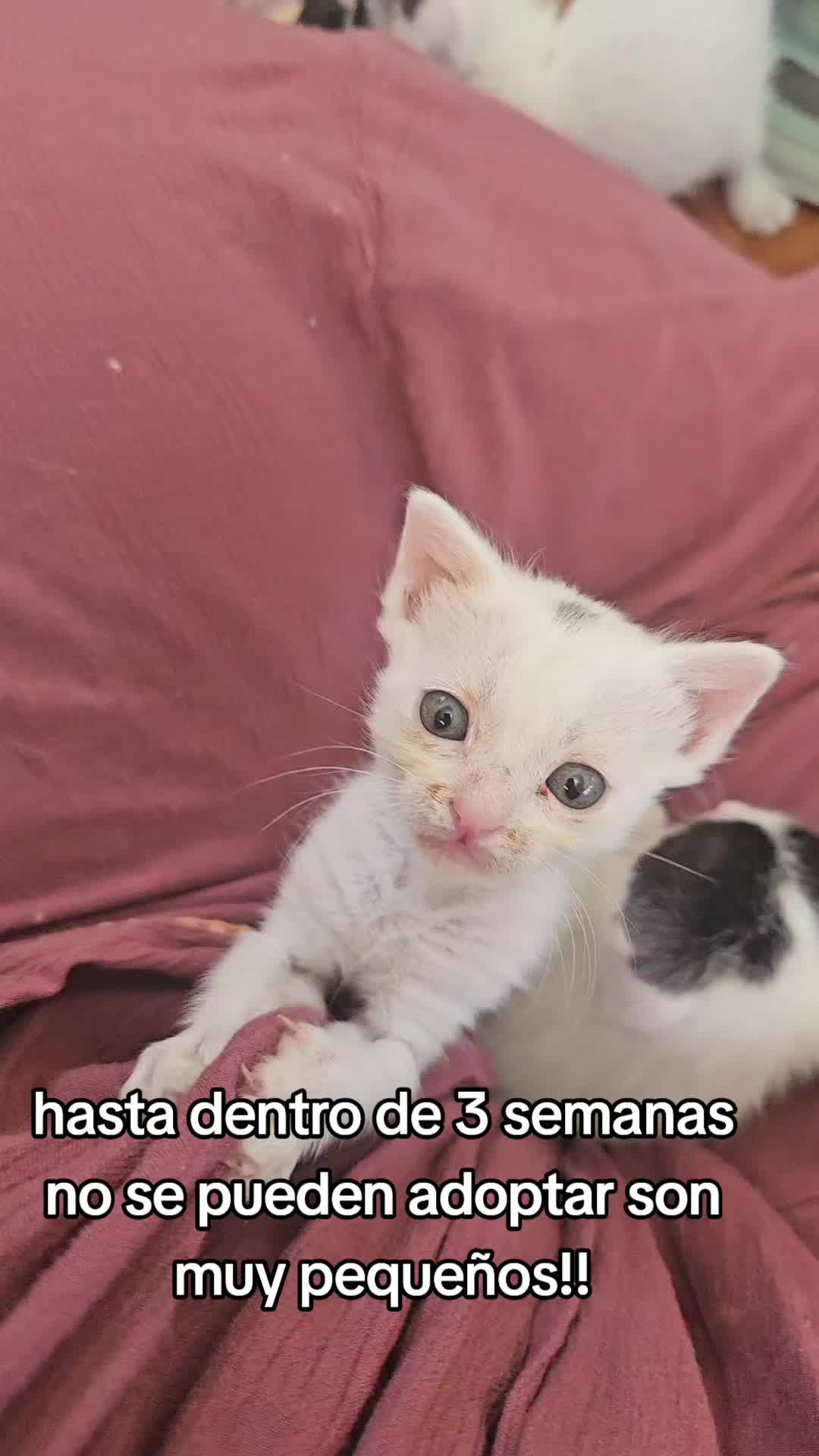 @Ronporsiempre