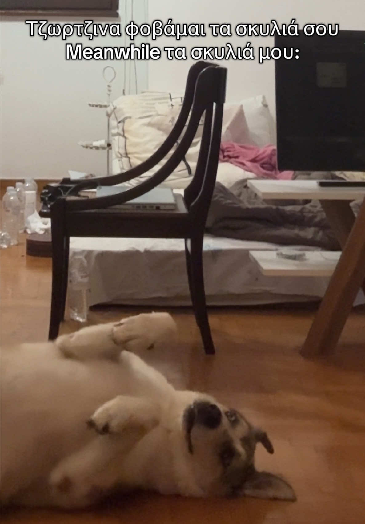 @Τζωρτζίνα