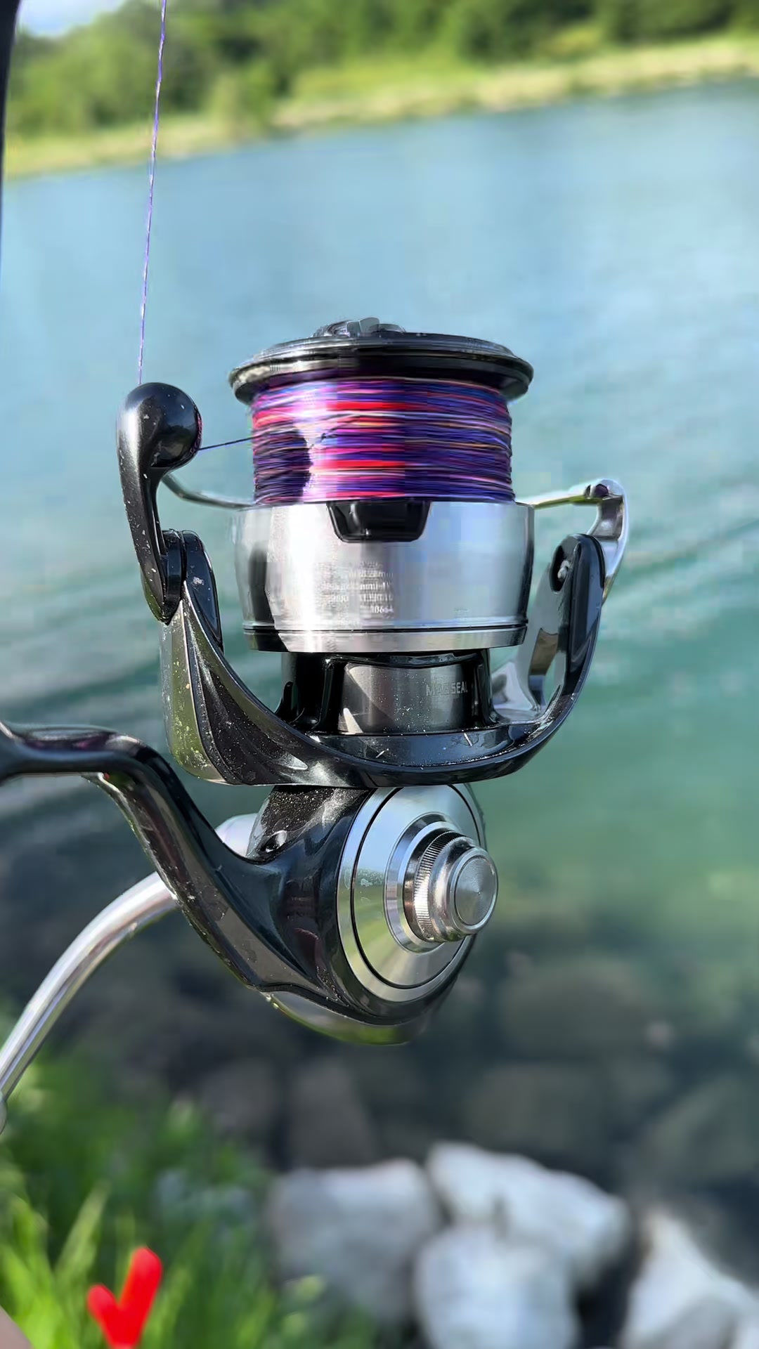 @ViennaDsFishing