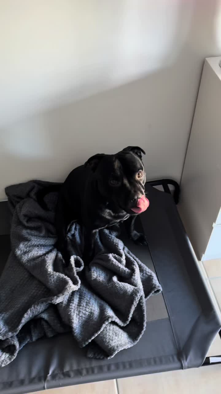 @staffie.young.tao