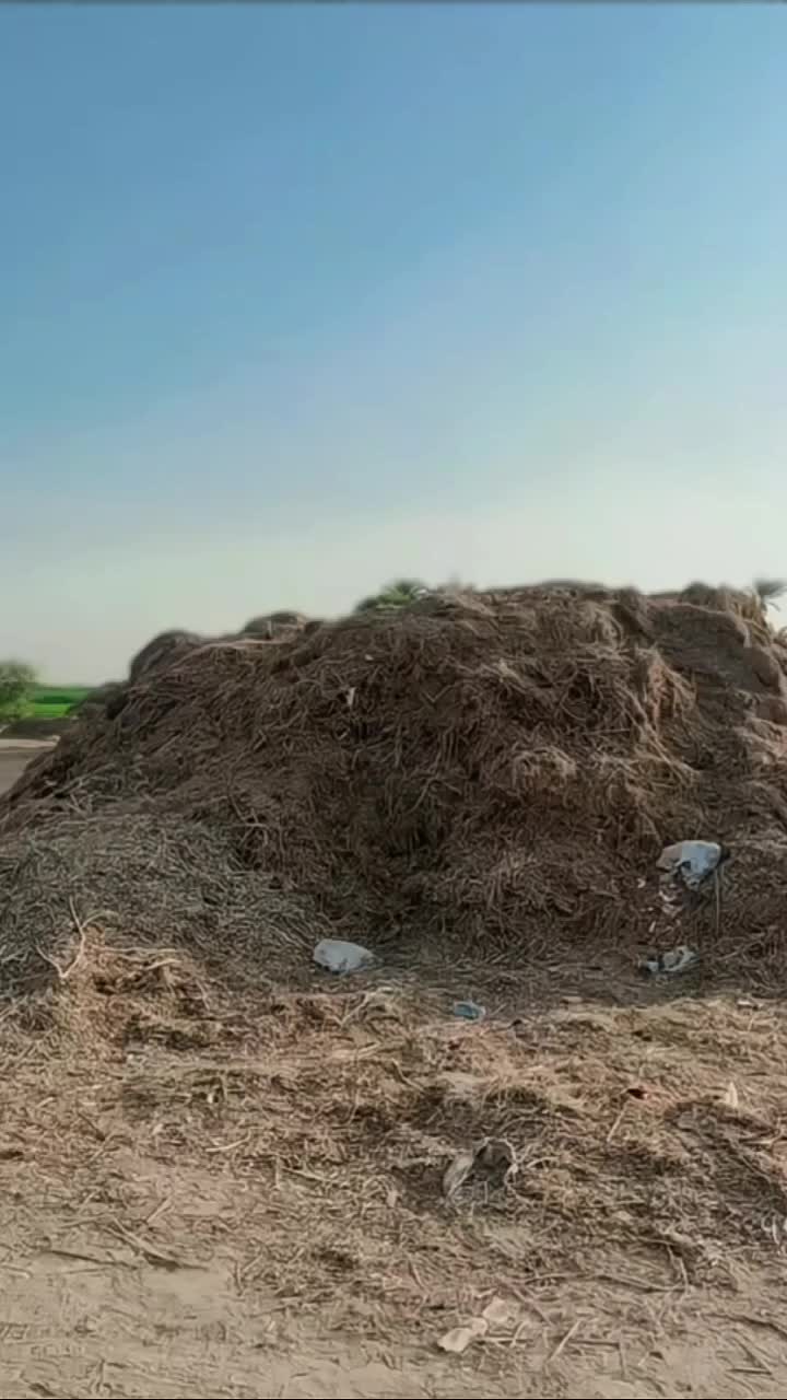 @Naif07