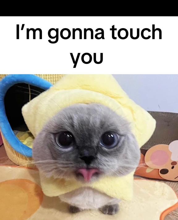 @xiaojie