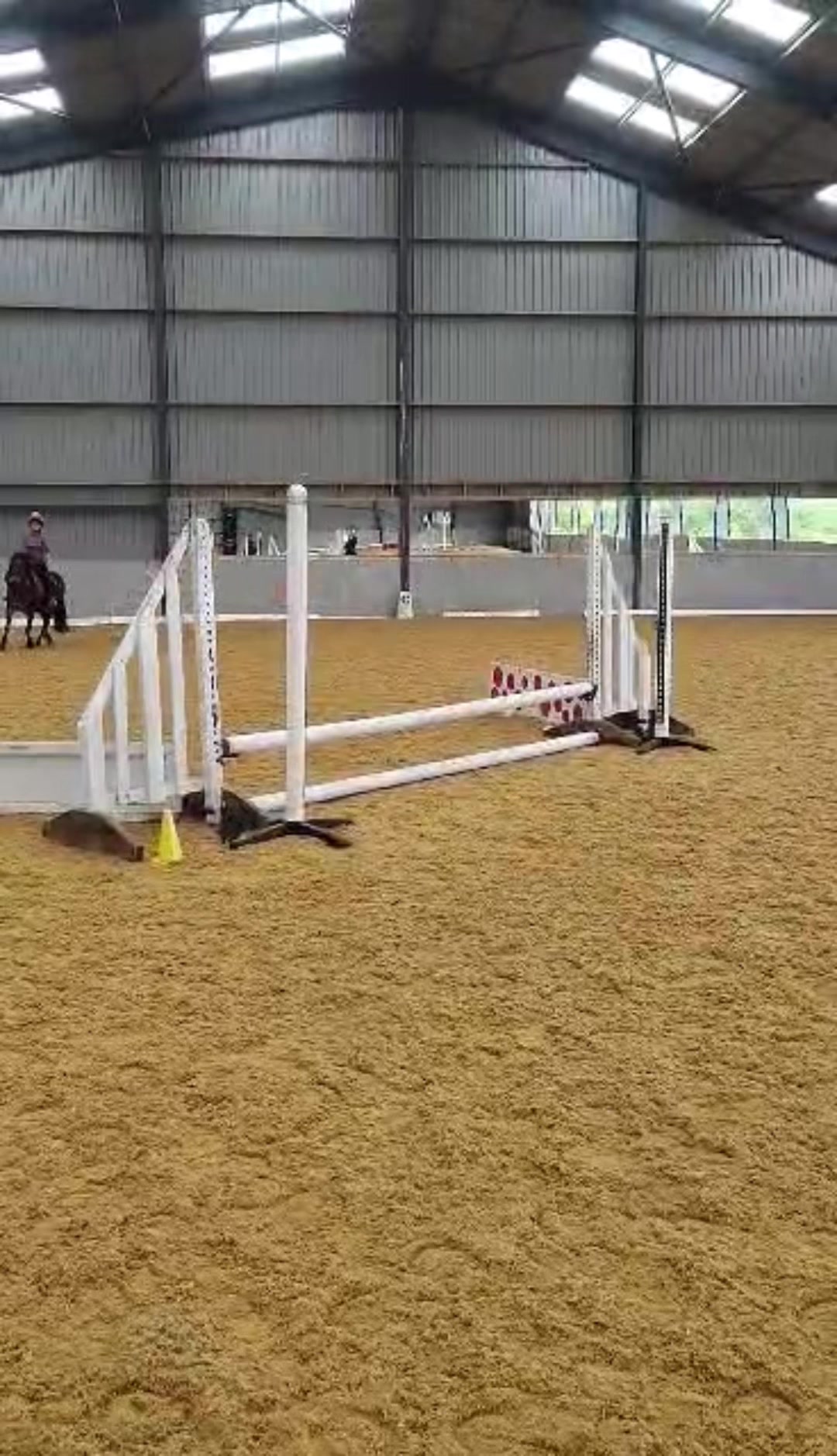 @Freya_horses