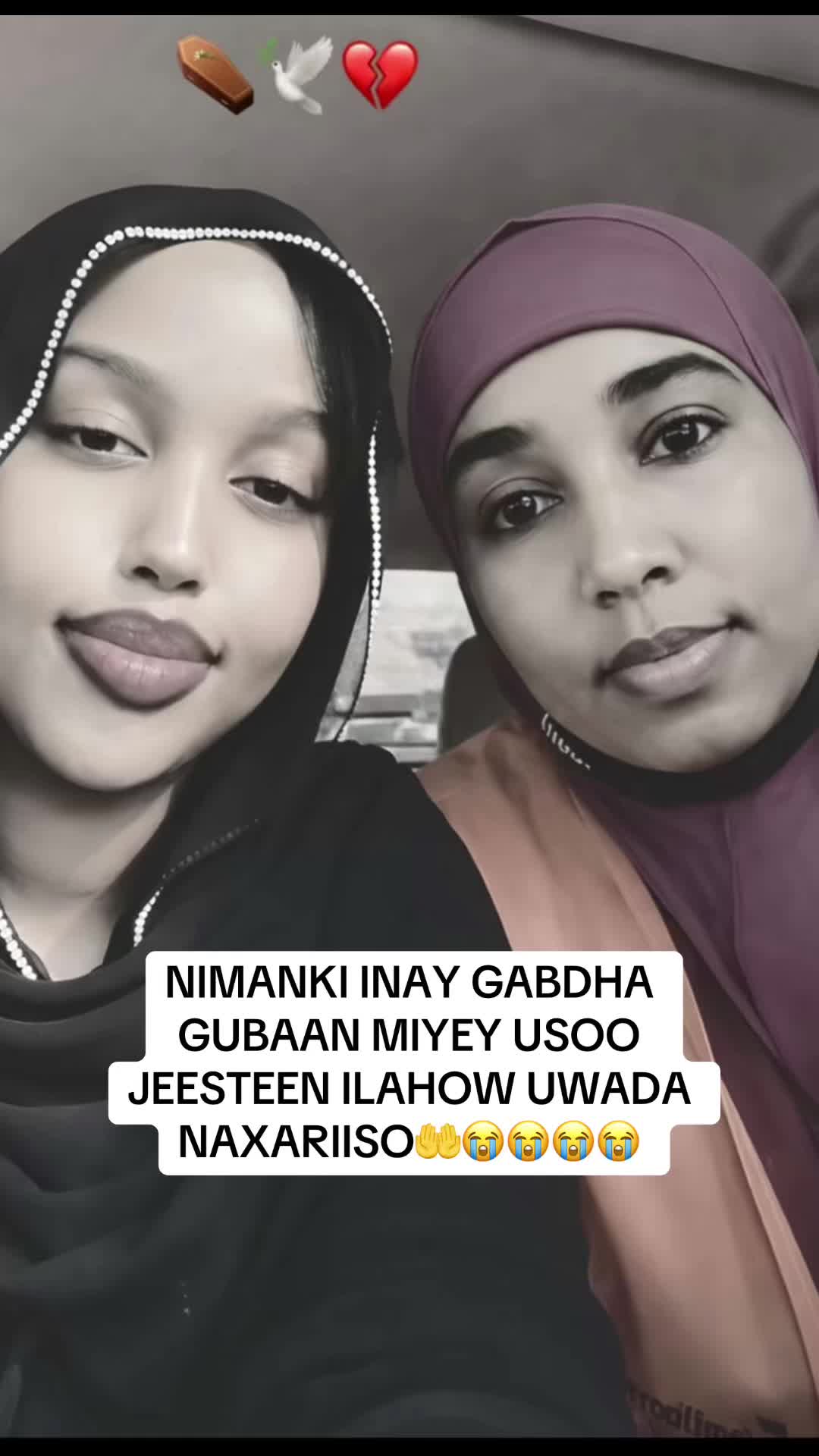 @Muneeta Dhayman💎