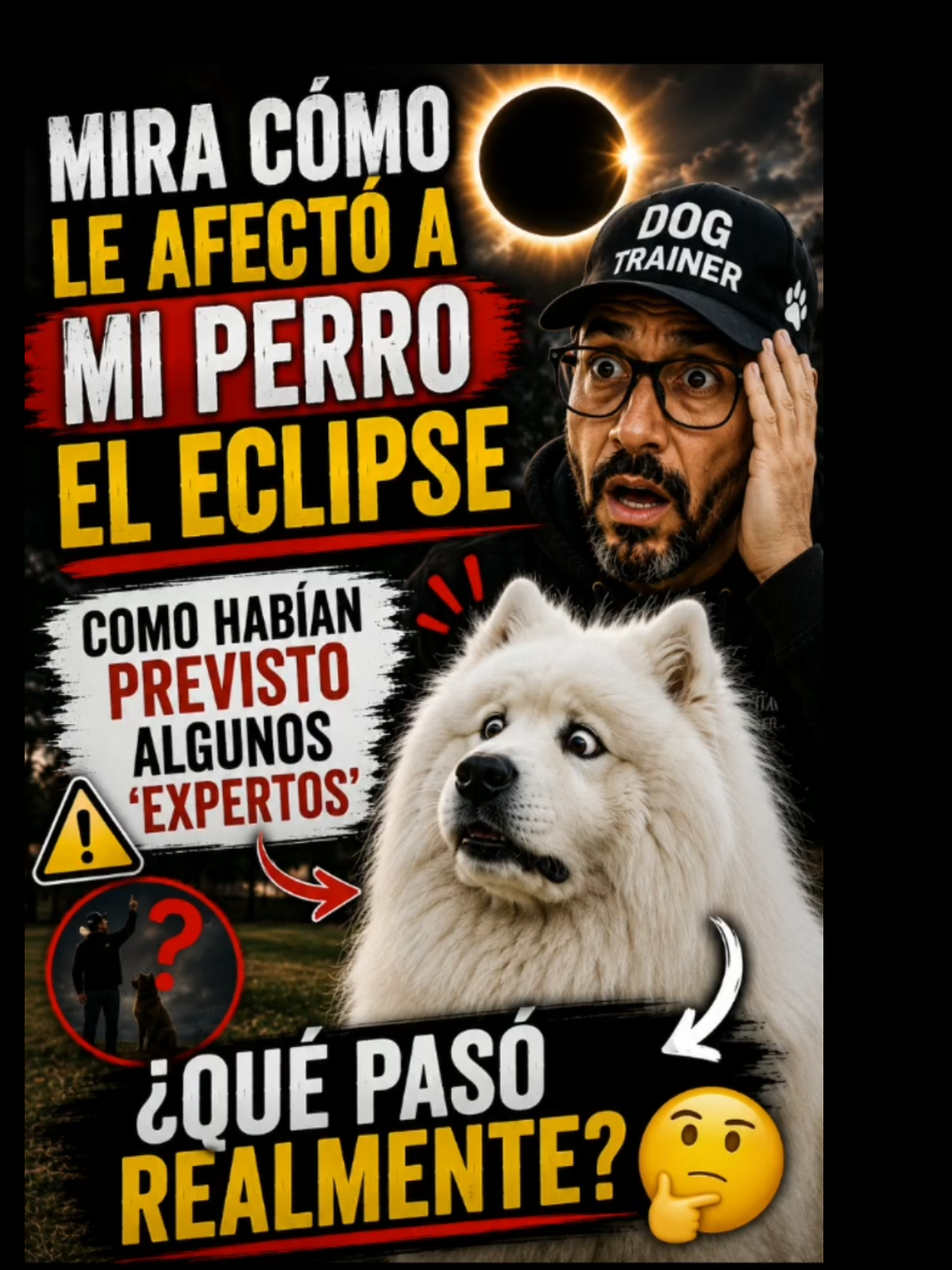 @EDUCADOG.COACHING🐾TONI GARCIA
