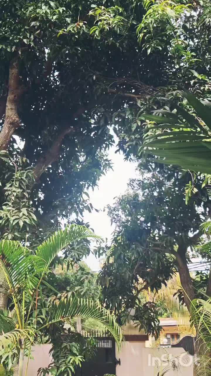 @Jero Devarajan