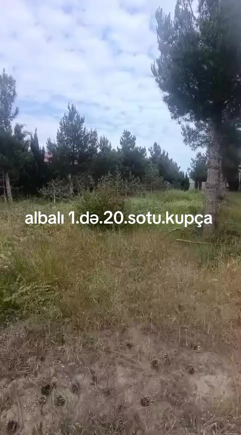 @Buzvna.əmlak.041