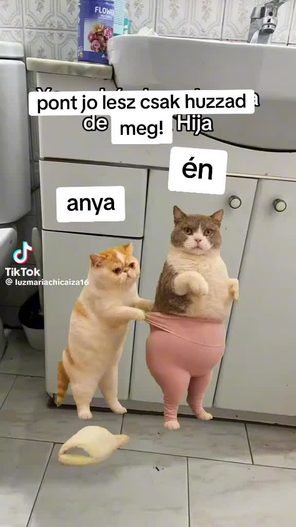 @🦋🩷𝓗𝓾𝓻𝓻𝓮𝓶🦋🩷