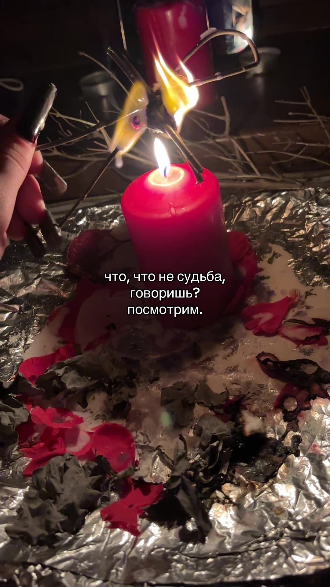 @korneliu🪽