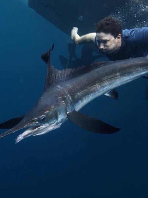 @Fishing TV
