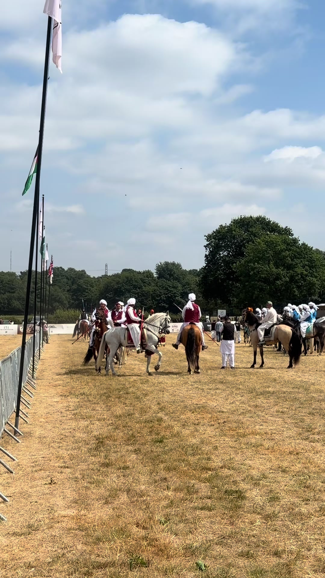 @Slough horses