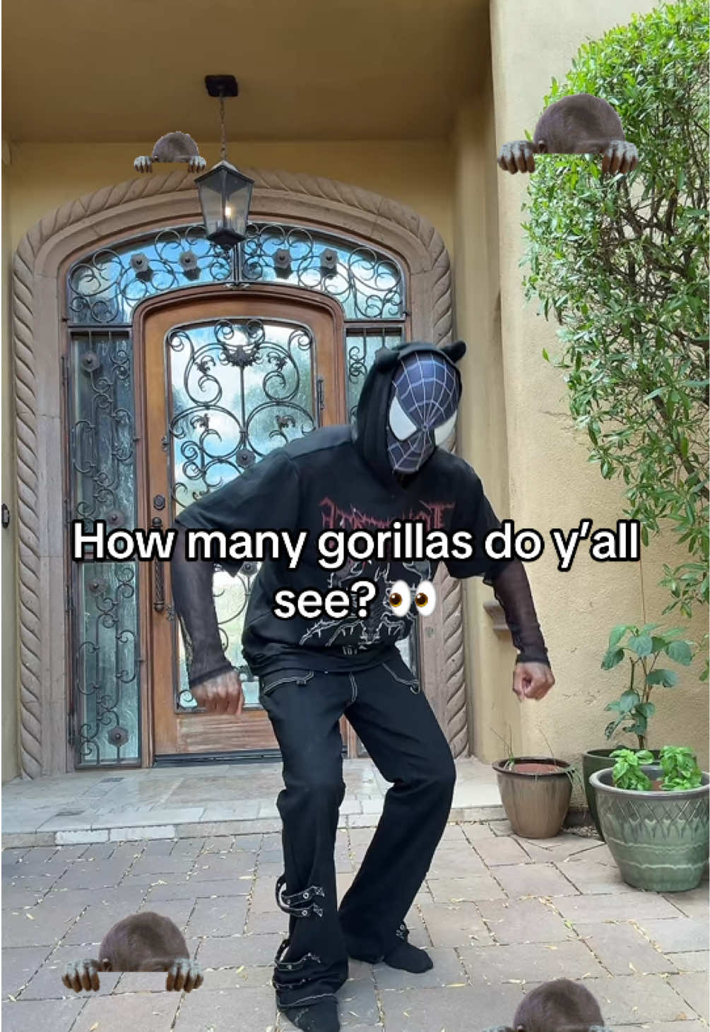 @SPIDA 🕷️