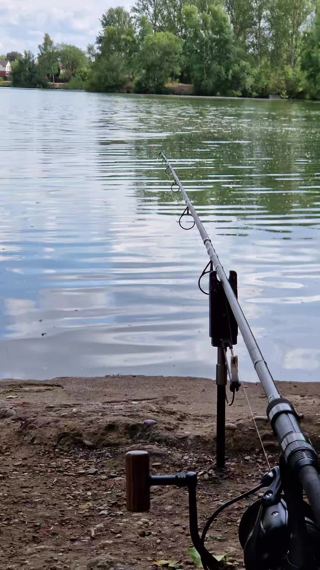 @Carpy Brez