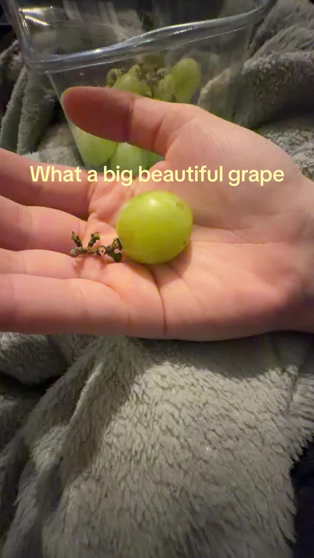 @rosetoes06