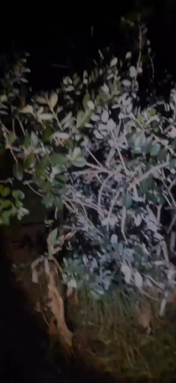 @Uthinkithot_Capcut organic