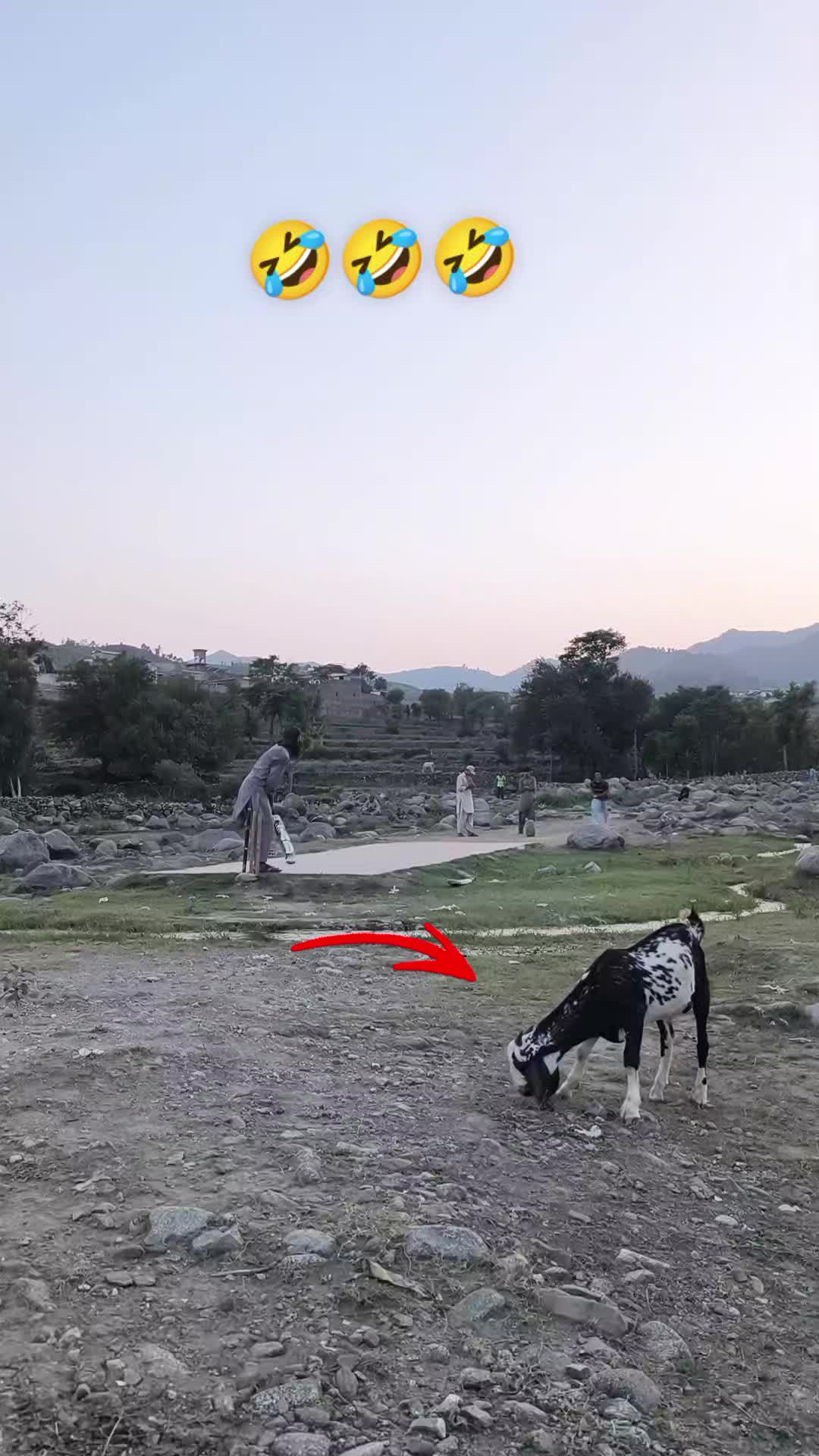 @ȻʀıcEdıтṡ