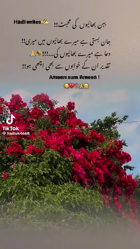 @Ayesha786