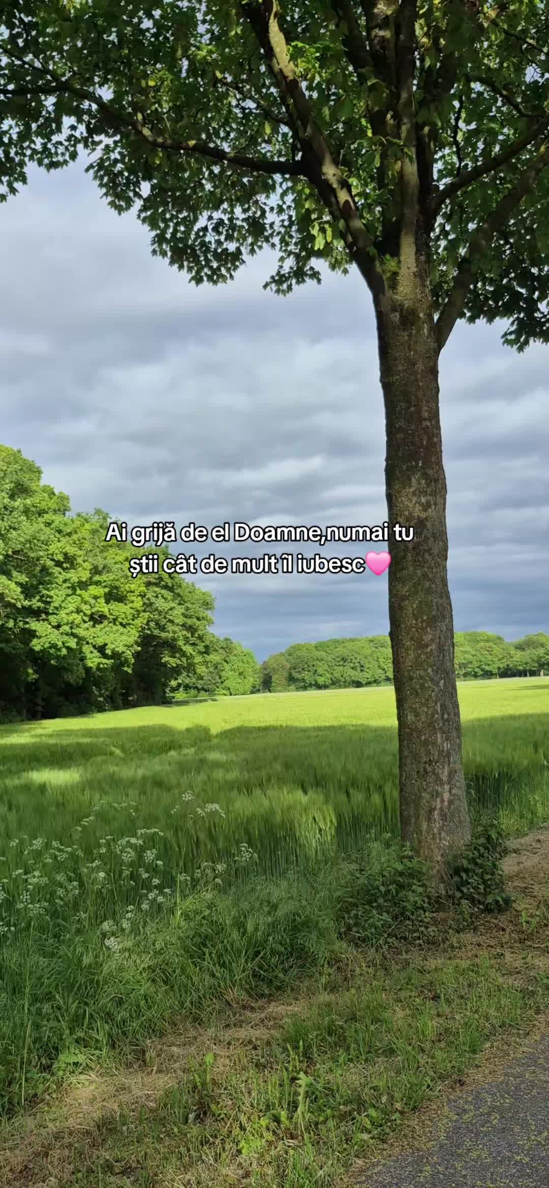@alys🧸