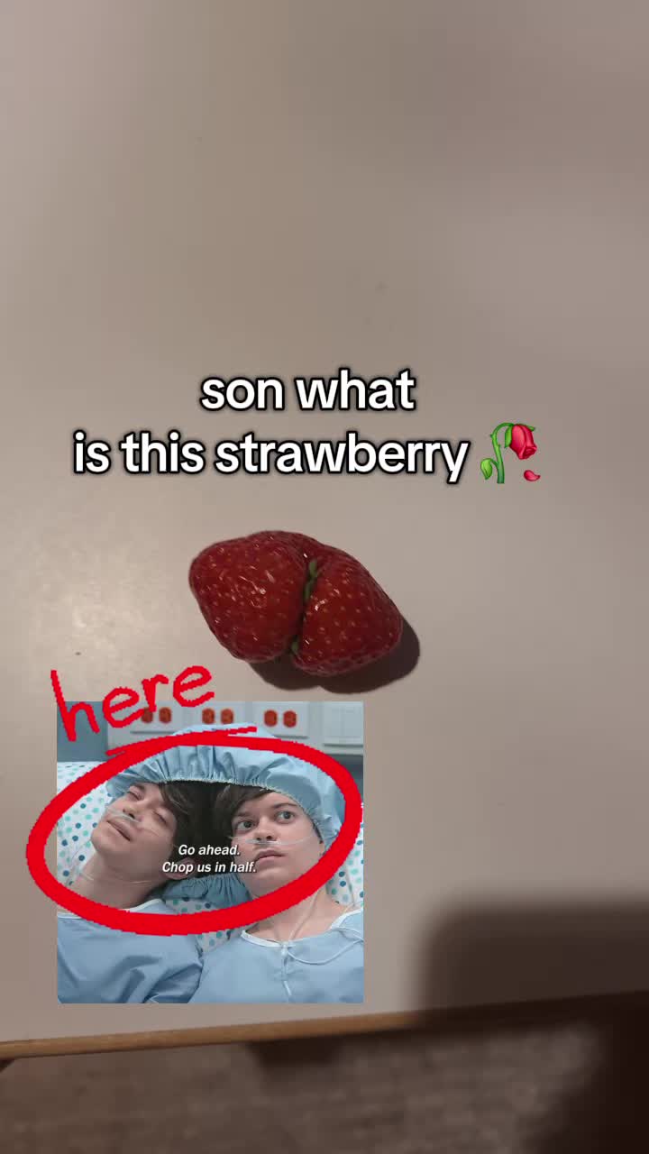 @FATCATTHE CAT