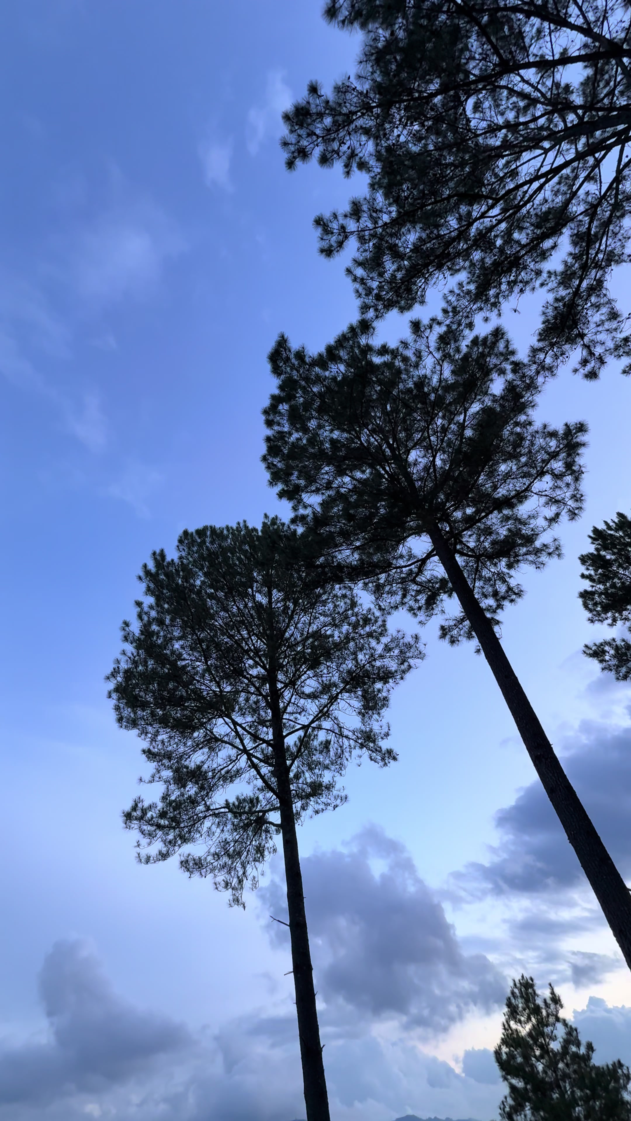 @Cerita alam
