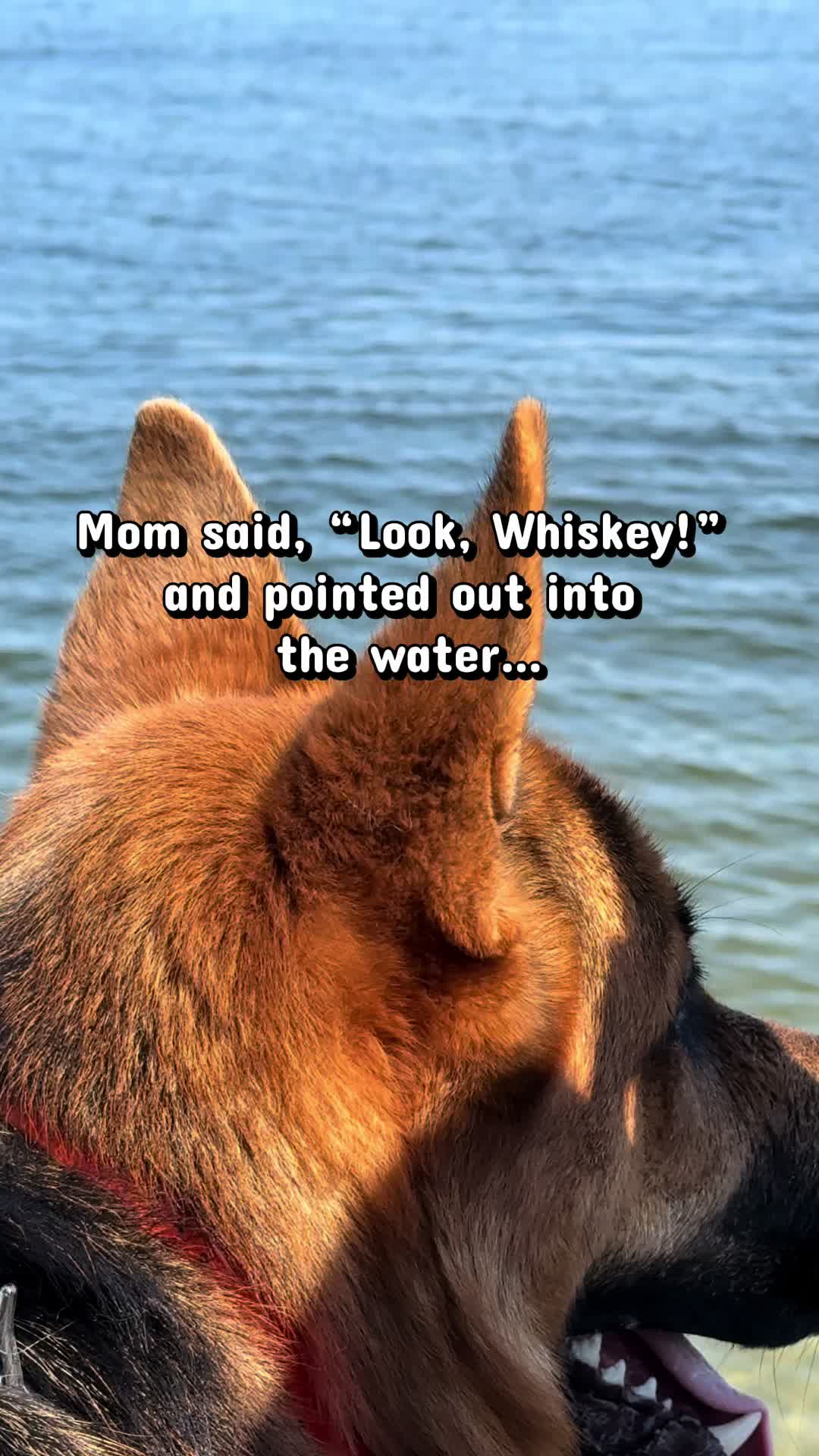 @Whiskeys Trails