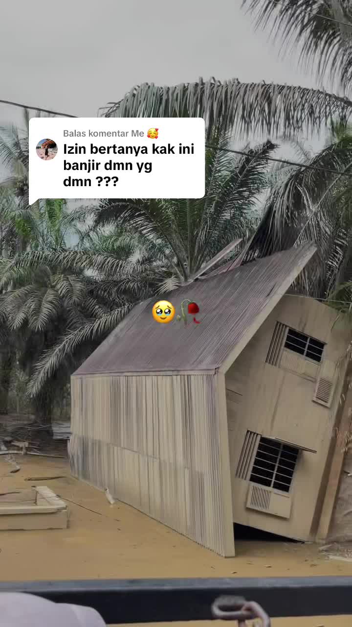 @Diniannn