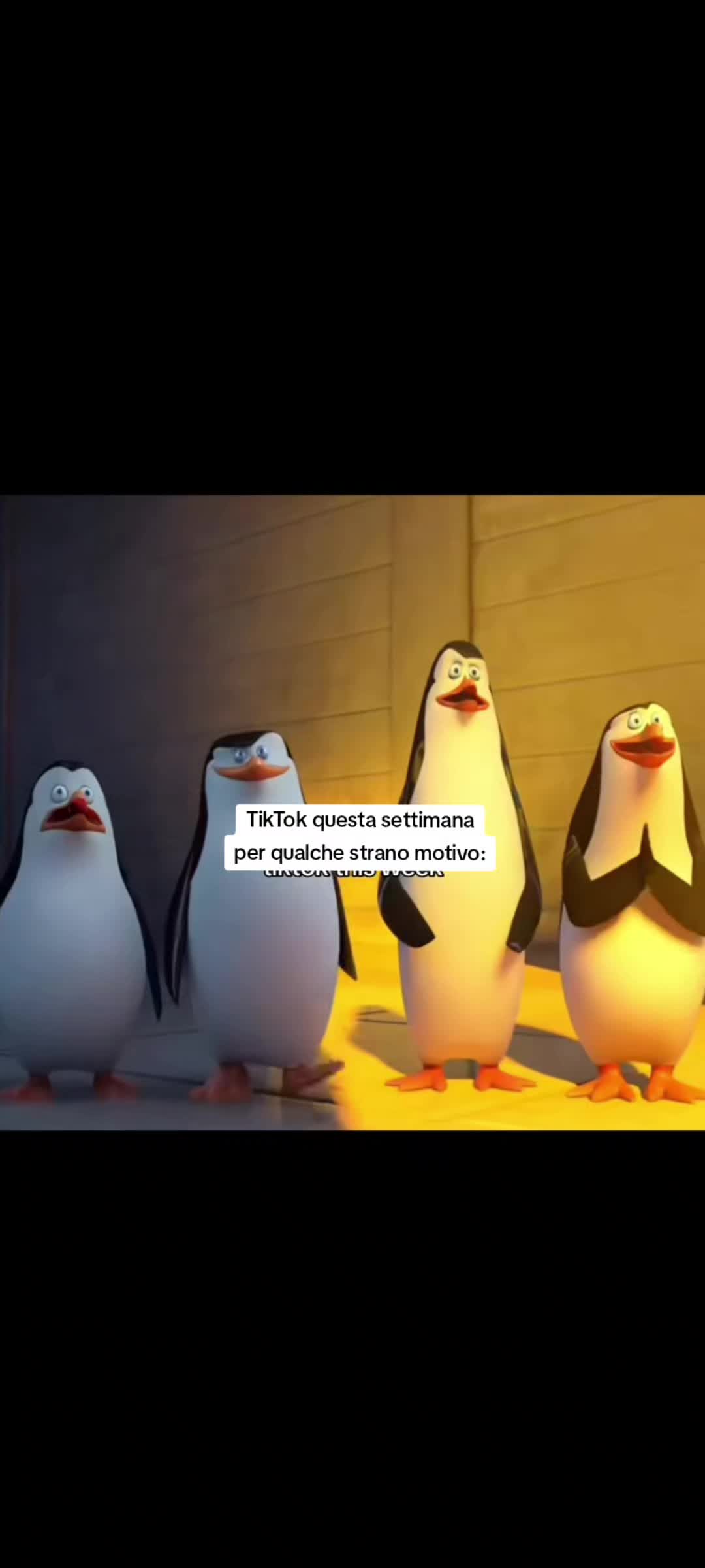 @𝑨𝒍𝒆