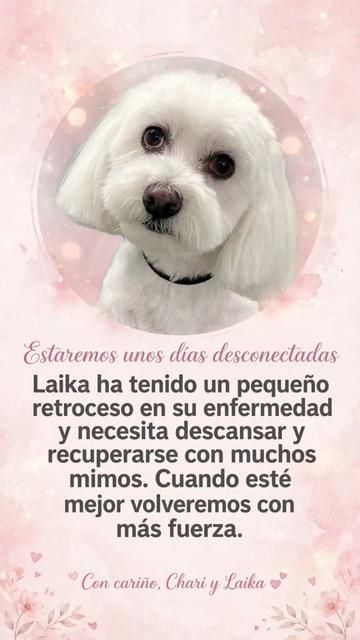 @Chari y Laika
