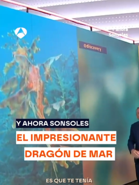 @Yahorasonsoles