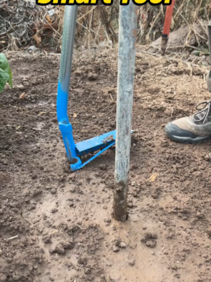 @Knots_Master