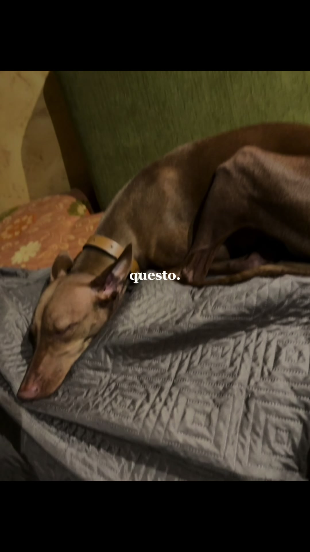 @Mariagrazia Buttitta