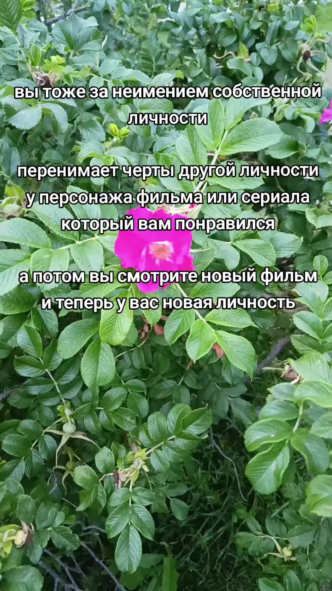 @Socialization_Enjoyer