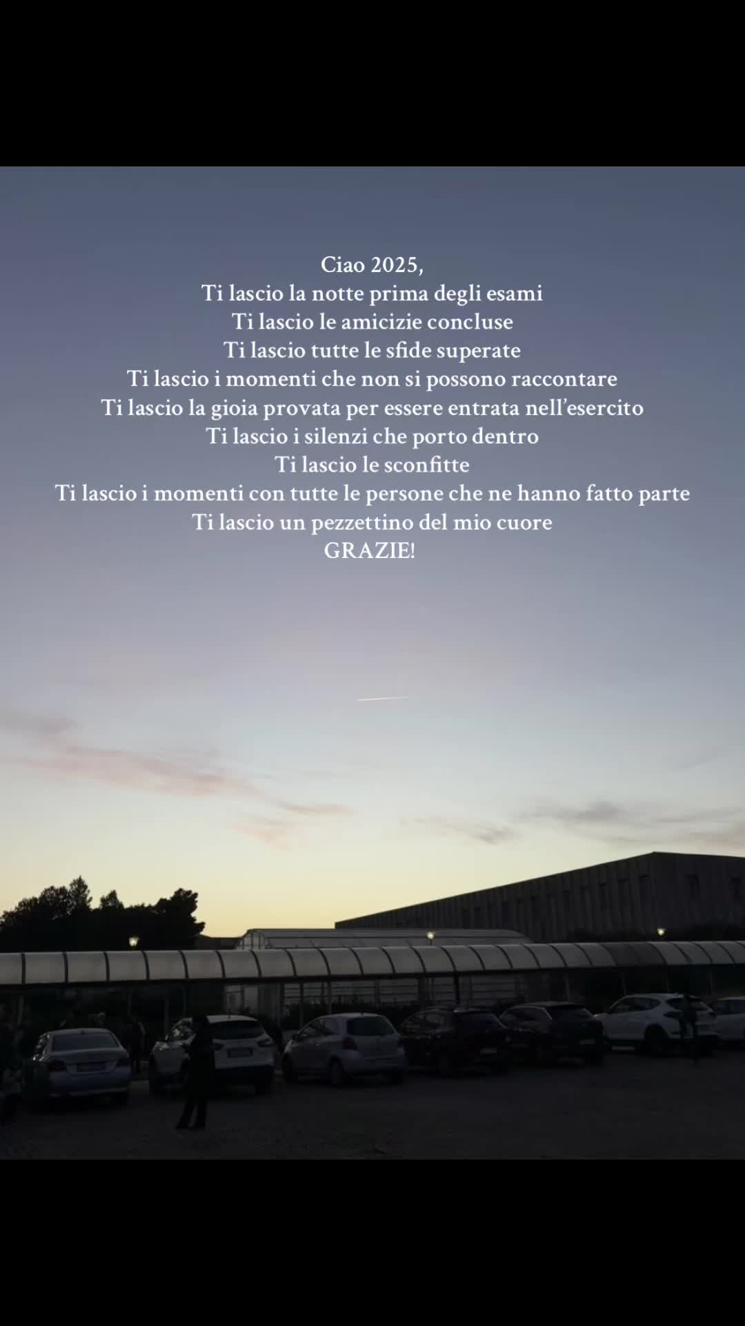 @Teresa Reale