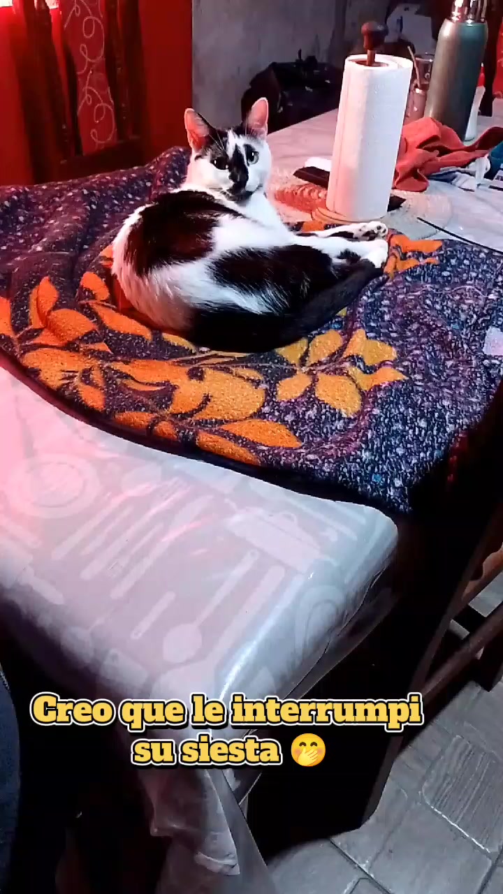 @Bibi 💙🇦🇷